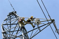 Quy chế hoạt động của Ban Chỉ đạo Quốc gia về phát triển điện lực