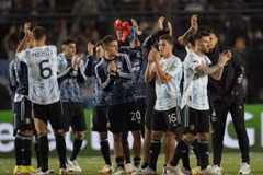 Những đội tuyển đã giành suất dự vòng chung kết World Cup 2022