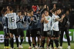 Những đội tuyển đã giành suất dự vòng chung kết World Cup 2022