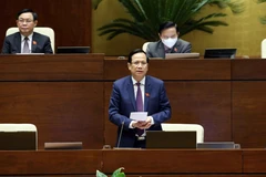 Bộ trưởng Bộ Lao động, Thương binh và Xã hội Đào Ngọc Dung phát biểu giải trình, làm rõ một số vấn đề đại biểu Quốc hội nêu. (Ảnh: Phạm Kiên/TTXVN)