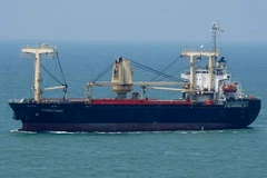 Vụ tàu hàng gặp nạn ở Bình Thuận: Tiếp tục theo sát, tìm kiếm tín hiệu