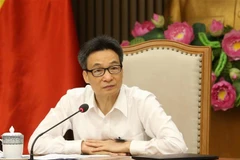 Phó Thủ tướng Vũ Đức Đam. (Ảnh: An Đăng/TTXVN)