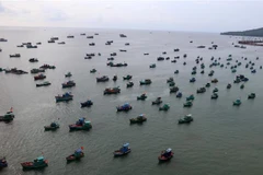 Tàu cá hoạt động trên vùng biển Phú Quốc. (Ảnh: Lê Huy Hải/TTXVN)