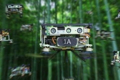 (Nguồn: sciencealert.com)