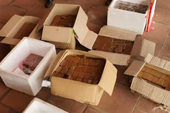 (Ảnh minh họa: Hoàng Nguyên/TTXVN)