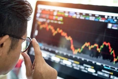 (Nguồn: baochinhphu.vn)