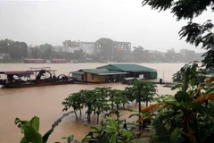 Mực nước sông Lô đoạn qua địa phận thành phố Tuyên Quang dâng khá cao. (Ảnh: Quang Đán/TTXVN)