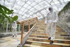 Nhân viên phun khử trùng nhằm phòng chống dịch COVID-19 tại Bình Nhưỡng, Triều Tiên, ngày 18/5. (Ảnh: Kyodo/TTXVN)