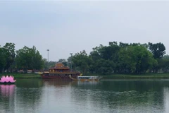 Hạ thủy hoa sen trên sông Hương. (Ảnh: Tường Vi/TTXVN)