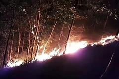 Thời tiết khô, nóng cùng với gió Lào thổi mạnh khiến đám cháy nhanh chóng lan rộng. Ảnh minh họa. (Ảnh: TTXVN phát)