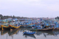 Tàu, thuyền neo đậu tránh bão. (Ảnh: Hồng Hiếu/TTXVN)