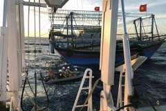 Các tàu cá phối hợp tìm kiếm cứu nạn. (Ảnh: Hoàng Ngọc/TTXVN)