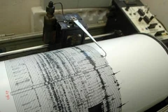 (Nguồn: en.tempo.co)