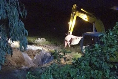 Lực lượng chức năng tiêu hủy số lợn bị bệnh dịch tả lợn châu Phi. (Ảnh: Công Mạo/TTXVN)