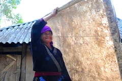 Mang khuôn giấy đi phơi nắng. (Ảnh: Văn Dũng/TTXVN)