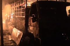 (Ảnh minh họa: Huyền Trang/TTXVN)