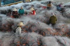 Phụ nữ nông thôn vùng ven biển tỉnh Nghệ An đan lưới phục vụ khai thác biển. (Ảnh: Nguyễn Oanh/TTXVN)