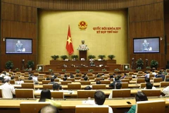 (Ảnh: Doãn Tấn/TTXVN)