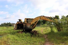 (Ảnh minh họa: Duy Khương/TTXVN)