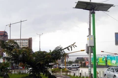 (Nguồn: ticotimes.net)