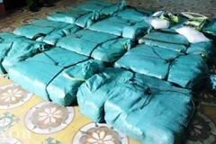 (Ảnh minh họa: TTXVN phát)