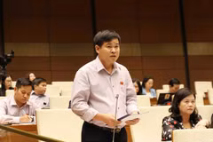 Đại biểu Quốc hội tỉnh Lào Cai Sần Sín Sỉnh phát biểu. (Ảnh: Phương Hoa/TTXVN)