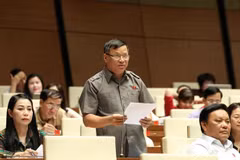 Đại biểu Quốc hội tỉnh Vĩnh Phúc Trần Văn Tiến phát biểu ý kiến. (Ảnh: Văn Điệp/TTXVN)