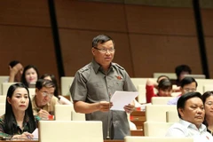 Đại biểu Quốc hội tỉnh Vĩnh Phúc Trần Văn Tiến phát biểu ý kiến. (Ảnh: Văn Điệp/TTXVN)