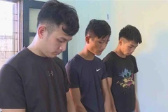 Nhóm đối tượng trộm cắp nông sản liên huyện tại cơ quan công an. (Ảnh: TTXVN phát)