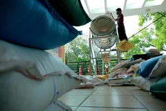 Cây 'ATM gạo' ở Nhà văn hóa phường Nghĩa Tân, quận Cầu Giấy, Hà Nội. (Ảnh: An Thành Đạt/TTXVN)