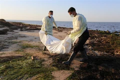 Nhân viên Cơ quan bảo vệ dân sự Tunisia chuyển thi thể người di cư thiệt mạng do chìm thuyền tại Zarzis, ngày 16/7/2019. (Ảnh: AFP/TTXVN)