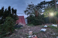 Khu vực được Ban Quản lý rừng Lâm Viên xác định là lấn chiếm đất lâm nghiệp. (Nguồn: Cand)