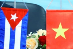 (Ảnh minh họa: Văn Điệp/TTXVN)