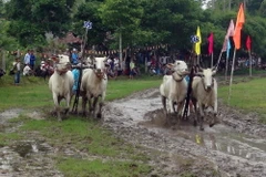 (Ảnh: Công Mạo/TTXVN)