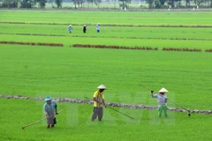 (Ảnh minh họa: Lê Huy Hải/TTXVN)