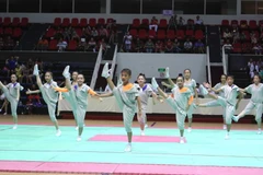 Biểu diễn Aerobic. (Ảnh minh họa. Nguồn: TTXVN)