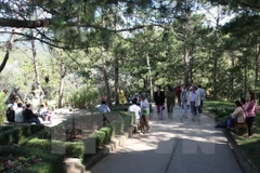 (Ảnh minh họa: Phương Hoa/TTXVN)