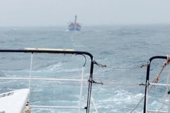 (Ảnh minh họa: Xuân Nguyên/TTXVN phát)