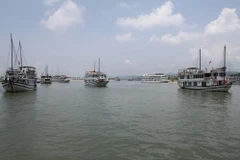 (Nguồn: Tập đoàn Tuần Châu)