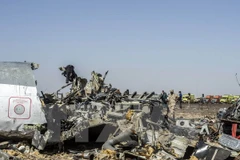 Những mảnh vỡ của máy bay A321 của Nga tại Wadi el-Zolmat, bán đảo Sinai, Ai Cập. (Nguồn: AFP/TTXVN)