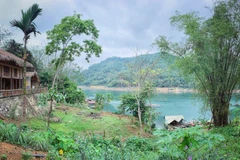 (Ảnh: Tố Linh/Vietnam+)