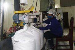 Đóng gói sản phẩm tại Nhà máy Mía đường Cao Bằng. (Ảnh: Chu Hiệu/TTXVN)