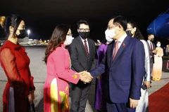 Cán bộ, nhân viên Đại sứ quán Việt Nam tại Phần Lan, đại diện Ủy ban đối ngoại Quốc hội Phần Lan đón Chủ tịch Quốc hội Vương Đình Huệ tại sân bay Vantaa. (Ảnh: Doãn Tấn/TTXVN)