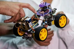 Israel phát triển robot có thể đánh hơi bằng râu của châu chấu