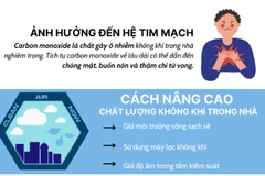 Ảnh hưởng đáng sợ của tình trạng ô nhiễm không khí trong nhà