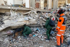 Cứu hộ Việt Nam trợ giúp đội Bahrain tìm nạn nhân động đất