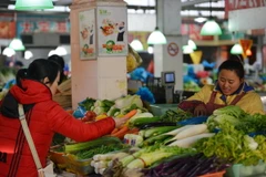 Các bộ trưởng APEC thảo luận các bước đi mới để tiến tới FTAAP