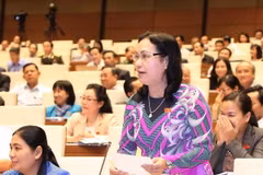 Cần có giải pháp mạnh ngăn chặn hàng nhập lậu, hàng giả