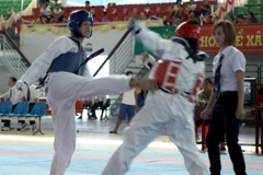 (Ảnh: Duy Khương/TTXVN)