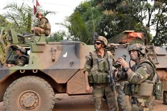 Nhiều nước hỗ trợ thiết lập hòa bình tại CH Trung Phi 